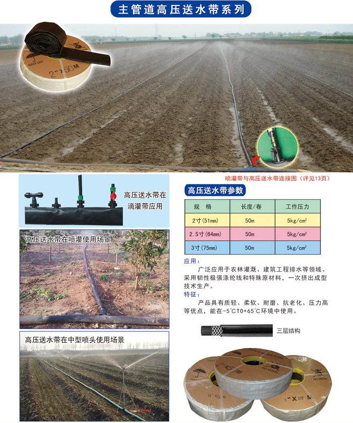 2019信農(nóng)畫冊(cè)29 副本.jpg