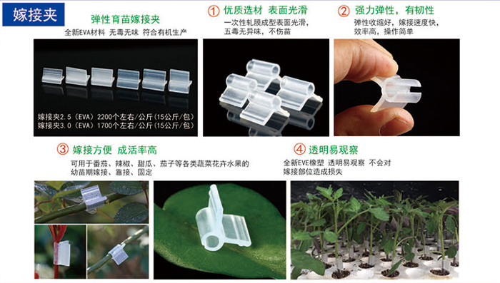 2019信農(nóng)畫冊(cè)40 副本.jpg