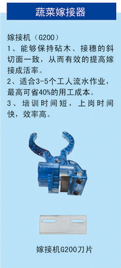 2019信農(nóng)畫冊40 副本.jpg