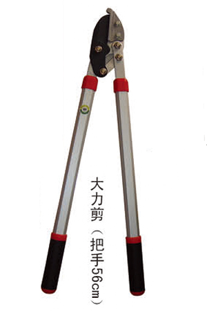 2019信農畫冊41 副本.jpg